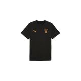 Puma GSK FtblESS Tee GALATASARAY FtblESSENTIALS Erkek Tişört