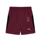 Puma Gsk Shorts Replica W/Blocking W/O Erkek GALATASARAY 25/26 Futbol Şortu 77982303 Siyah