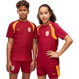Puma Gsk Training Jersey Jr Kırmızı Çocuk Forma - 128 cm