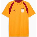 Puma Gsk Training Jersey Sarı Erkek Forma - L