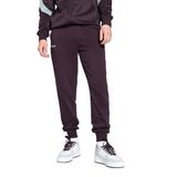 PUMA Mercedes-AMG Petronas F1® ESS Erkek Eşofman Altı