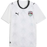 Puma Mısır Erkek Deplasman Forması