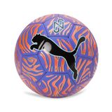 PUMA NEYMAR JR Graphic ball Top Orange Poppy-PUMA Black Futbol Topu
