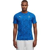 Puma Neymar Jr Passion Aop Erkek Mavi Futbol T-Shirt 52895703