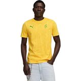 Puma Neymar Jr Passion Aop Erkek Sarı Futbol T-Shirt 52895702