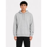 Puma Nordics Blank Hoodie Erkek Gri Sweatshirt 63044001