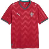 Puma Portekiz Erkek Iç Saha Forması