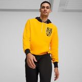 Puma Posterize 2.0 Erkek Kapüşonlu Sweatshirt, Çok Renkli, XL
