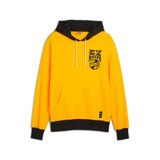 Puma Posterize 2.0 Erkek Kapüşonlu Sweatshirt, Çok Renkli