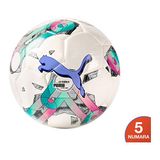 Puma Puma Orbita 5 Hyb Lite 350 Puma White-Ro Spor Malzemesi Top 8378401 - Renkli