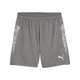 Puma Spor Şortu TeamCUP Antrenman Şortu 659171 Flat Medium Gray-Puma Gümüş Düz Açık Gri-S