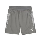 Puma Spor Şortu TeamCUP Antrenman Şortu 659171 Flat Medium Gray-Puma Gümüş Düz Açık Gri-XXL