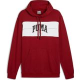 Puma Squad Hoodie Siyah Unisex Sweatshirt