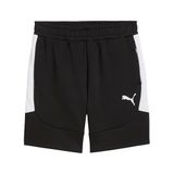 Puma Team Evostripe Shorts Erkek Futbol Şortu 65995103 Siyah, S