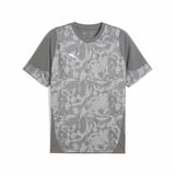 Puma Teamcup Football Erkek Forma,Flat Medium Gray-Puma Silver-F M