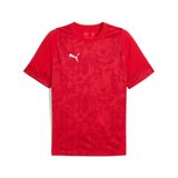 Puma Teamcup Football Erkek Forma,Puma Red-Puma Silver-Dark Cher L