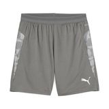 Puma Teamcup Training Shorts Erkek Futbol Kamp Şortu 65917113 Gri