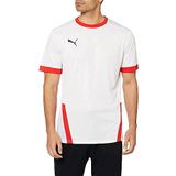 PUMA teamgoal 23 jarse erkek forması