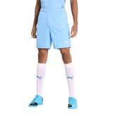 PUMA teamgoal 23 örgü erkek şortu