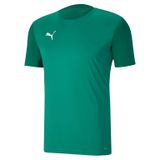 Puma Teamgoal 23 Sideline Tee Pepper Green-Po Yeşil Erkek Futbol Antrenman Tişörtü