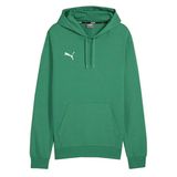 Puma Teamgoal Casuals Hoody Erkek Futbol Antrenman Sweatshirts 65861805 Yeşil