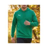 Puma Teamgoal Causals Hoodie Erkek Sweatshirt Yeşil