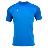 Puma Teamgoal Erkek Tişört - Mavi - XL