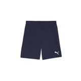 Puma Teamgoal Shorts Erkek Antrenman Şortu