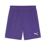 Puma Teamgoal Shorts Erkek Futbol Antrenman Şortu 70575210 Mor
