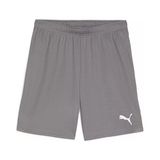 Puma Teamgoal Shorts Erkek Futbol Antrenman Şortu 70575213 Gri