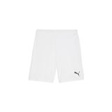 Puma Teamgoal Shorts Günlük Kullanıma Uygun Erkek Spor Antrenman Şortu
