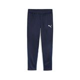 Puma Teamgoal Training Pant Erkek Futbol Antrenman Eşofman Altı 65863906 Lacivert - 2XL