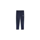 Puma Teamgoal Training Pant Erkek Futbol Antrenman Eşofman Altı Lacivert 65863906