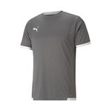 Puma Teamliga Jersey Erkek Futbol Forması 70491713 Gri - 3XL