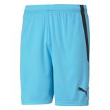 Puma Teamliga Shorts Mavi Erkek Futbol Şortu