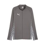 Puma TEAMLIGA26 Training Jacket Erkek Futbol Kamp Ceketi 65972713 Gri
