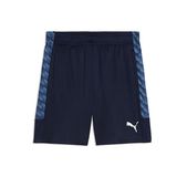 Puma Teamliga26 Training Shorts Erkek Futbol Antrenman Şortu 65973006 Lacivert