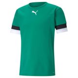 Puma Teamrise Jersey Yeşil Erkek Futbol Forması