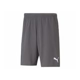 Puma Teamrise Short Erkek Şortu Gri 70494213