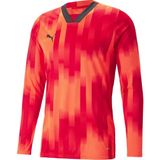 Puma Teamtarget Gk Ls Jersey Erkek Kaleci Forması 70564601 Renkli XL