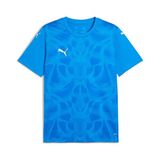 Puma Teamultimate Jersey Erkek Futbol Maç Forması 70628002 Beyaz - XL