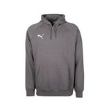 Puma Turkey Hoodie Türkiye Futbol Antrenman Sweatshirt 60546903 Gri L