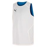 Puma Turkey Practice Jersey Türkiye Çift Taraflı Basketbol Tişörtü 60547101 Mavi L