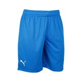 Puma Turkey Practice Short Erkek Türkiye Basketbol Şortu 60547201 Mavi 60547201 Mavi