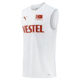 PUMA Türkiye Voleybol Milli Takım Erkek Forma (PUMA White/S)