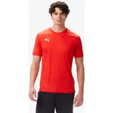 Puma Türkiye Voleybol Milli Takım Erkek Kırmızı Voleybol Forması.01