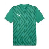 PUMA Üniseks Teamglory forma futbol forması, Sport Green-PUMA White, XL