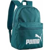 PUMA UNISEX SIRT ÇANTASI 20 L 079943-09