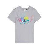Puma X Trolls Erkek Çocuk Tişört, 2-3 Yaş, 57-624816-7, Gri, Erkek Çocuk