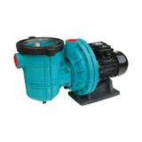 Pumpex-100t 1hp 380 V Havuz Pompası